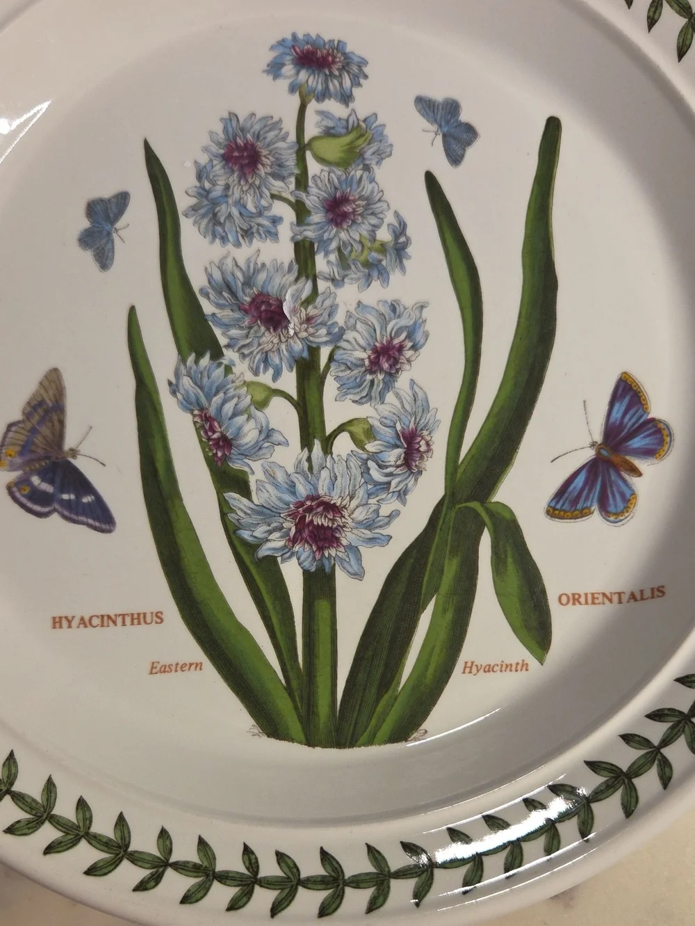 Vintage Portmeirion The Botanic Garden Floral Salad Plates 1972 | Britian Set 4